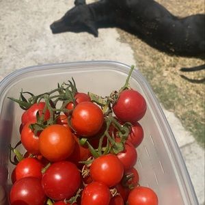 Meet your Posher, Andres